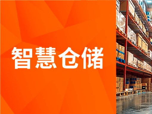 Smart Warehouse Solutions: See How This E-Commerce Giant Transformed with Intelligent Storage