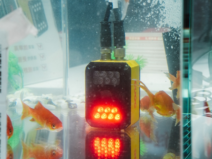 1762137710622904.png image.png